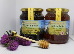 tipi di miele miele artigianale 10-alimenti-antirughe-maschera-al-miele