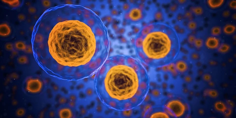 Trattamento anticellulite con massaggio professionale