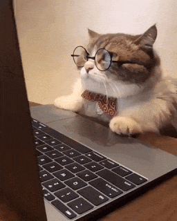 Utente che scrive una recensione falsa al computer