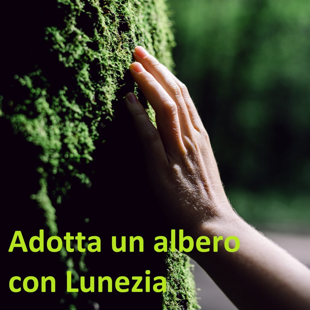 adotta-un-albero
