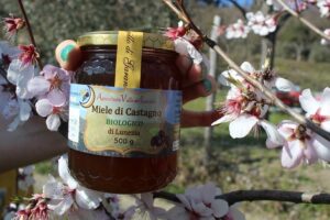 bomboniera miele maschere per capelli morbidi fai da te Maschera per capelli fragili fai da te kit degustazione Miele set degustazione miele MEL INCI miele di castagno