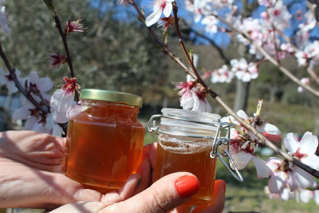 miele bomboniere personalizzate
