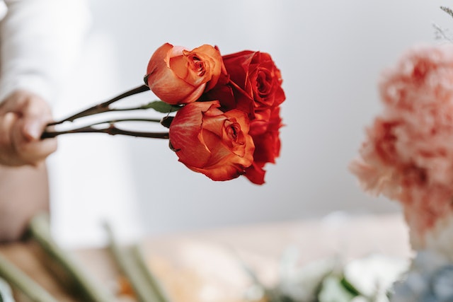 profumo alla rosa - profumi alla rosa 
