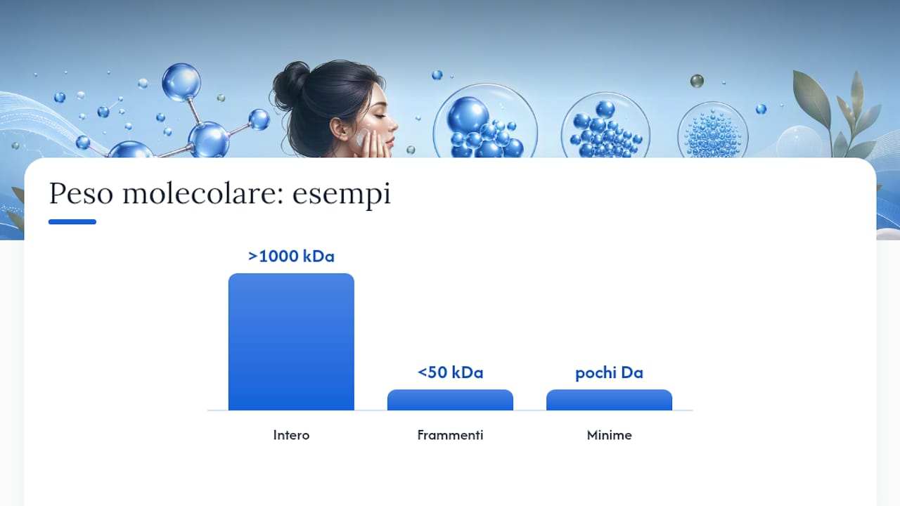 Cos'è il peso molecolare dell'acido ialuronico e come si misura — overview diagram